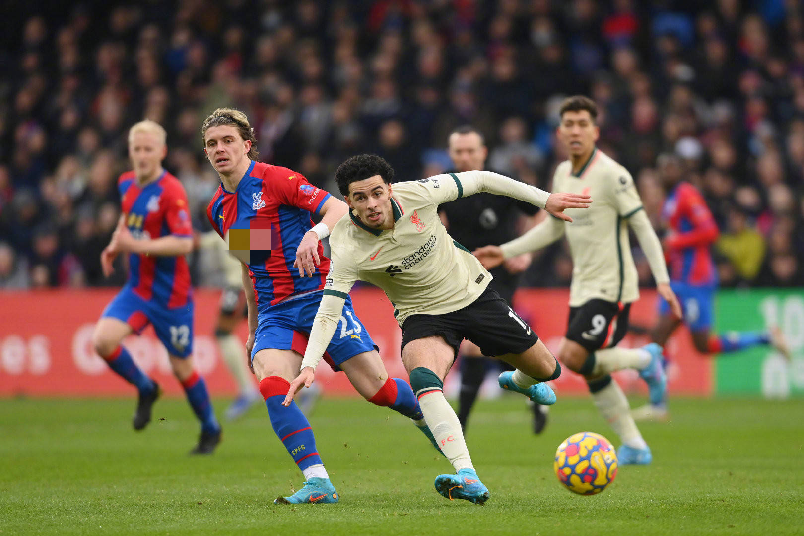 体竞争力 体竞争力